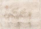Zoey Faux Fur PIllow 20x20 Oyster