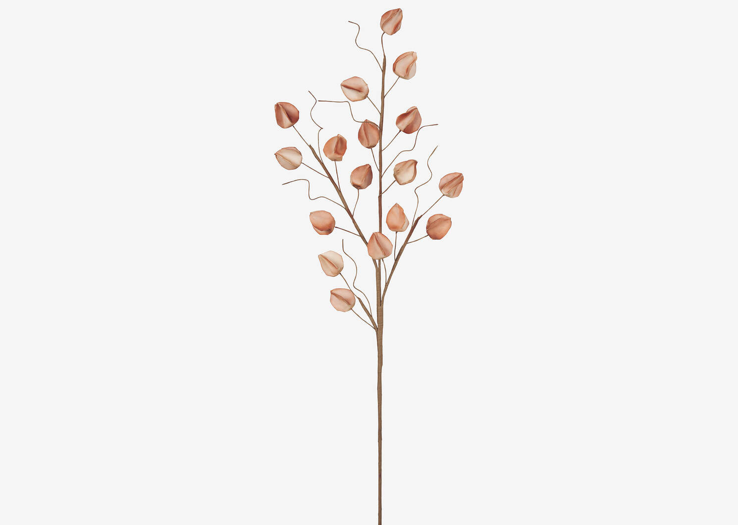 Jojo Lantern Branch Sand