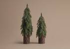 Seymour Tree Small