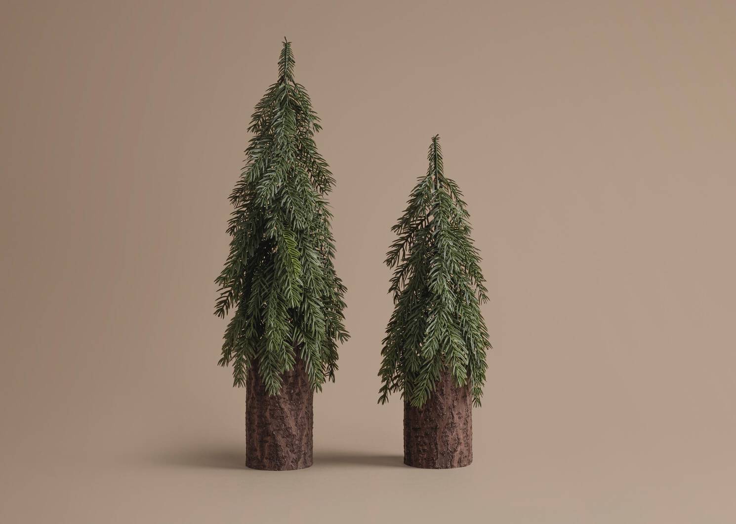 Seymour Tree Small