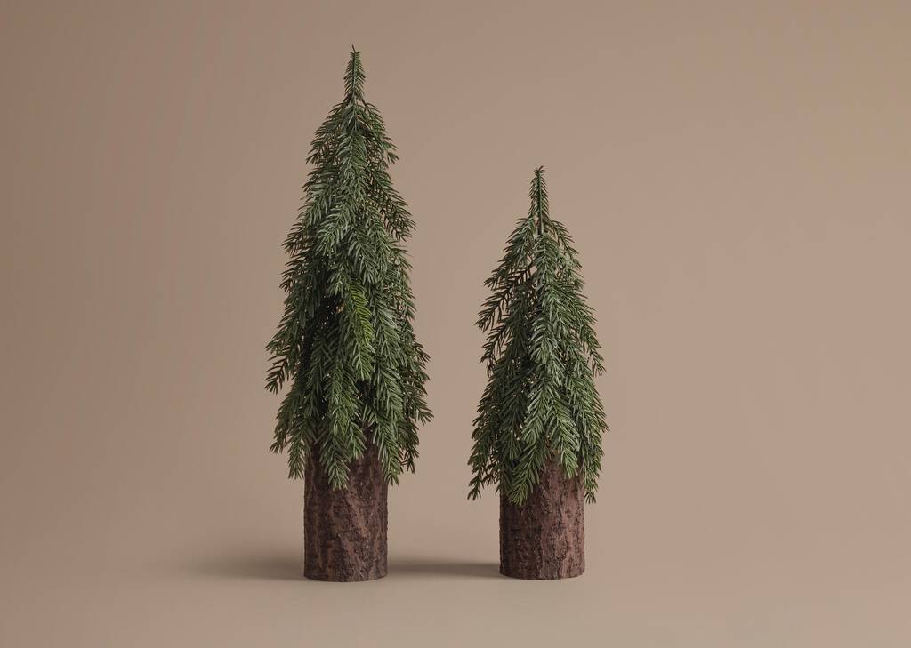 Seymour Christmas Trees