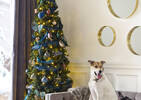 Claus Tree 7.5ft Slim Pre-lit LED Gre