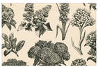 Hydrangea Placemat Natural/Black