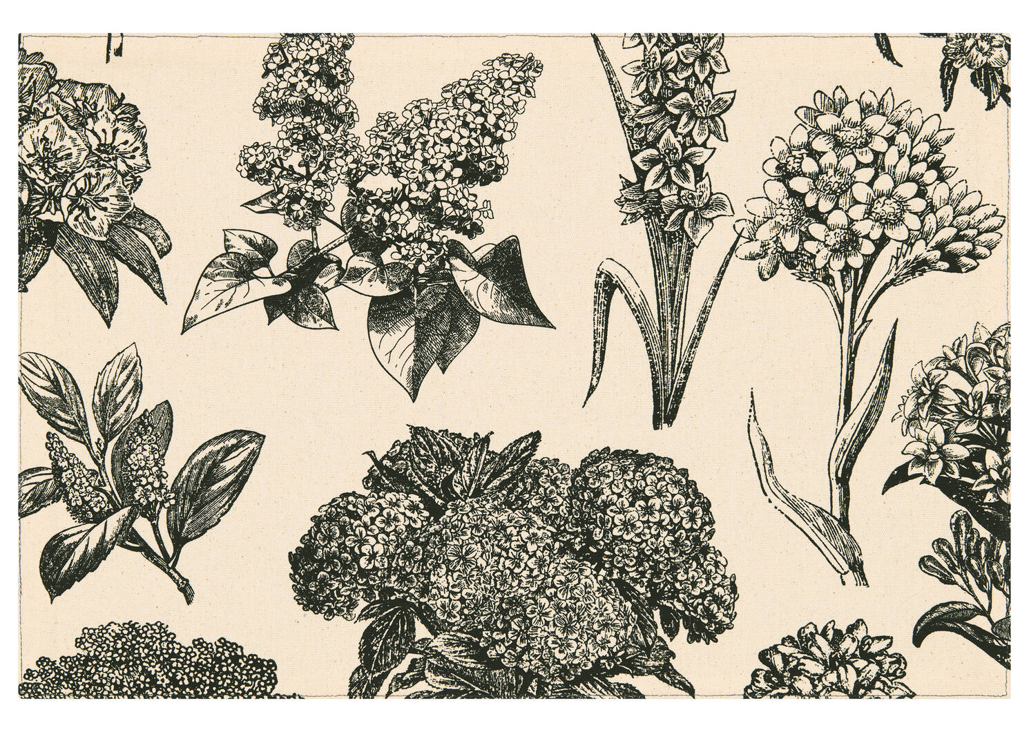 Hydrangea Placemat Natural/Black