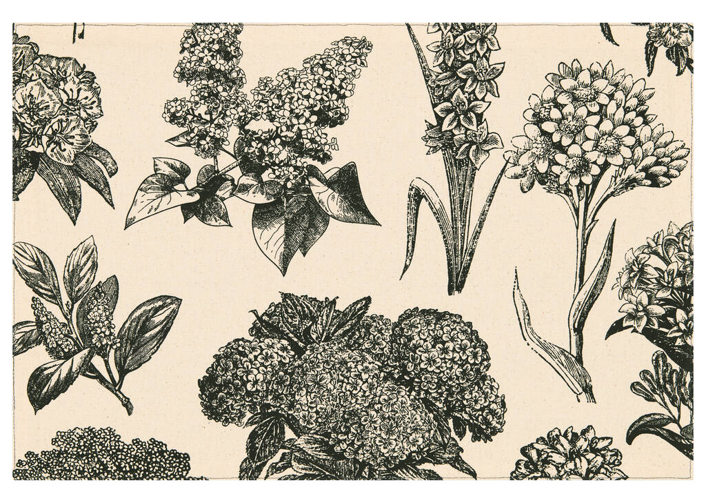 Hydrangea Placemat Natural/Black