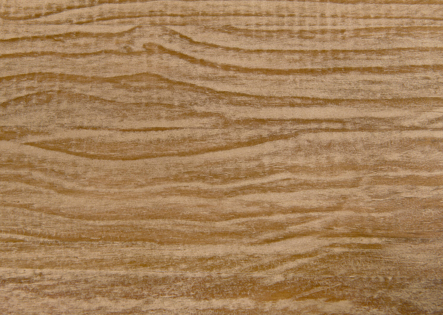 Bibliothèque Bedford -Hughes bière