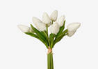 Berdine Tulip Bundle White