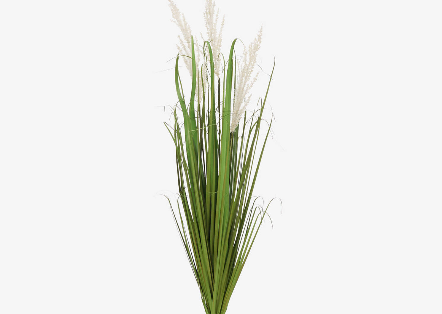 Rumi Wheat Grass White