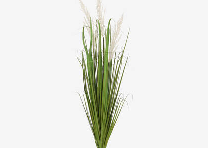 Rumi Wheat Grass White