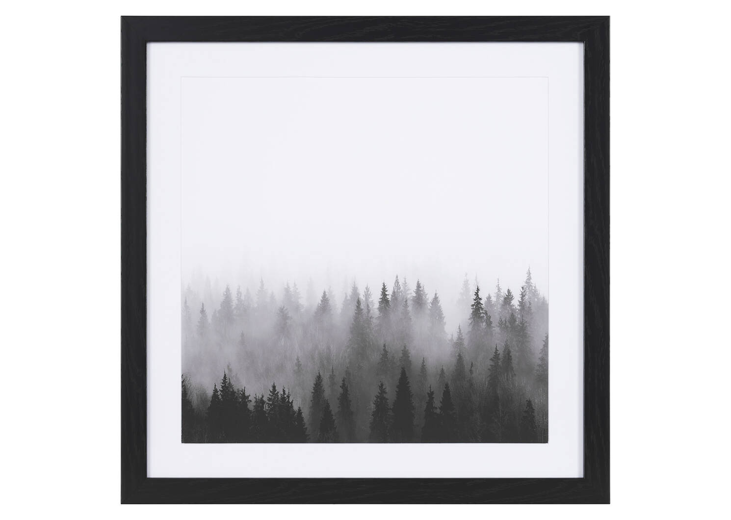 Treetops Framed Print