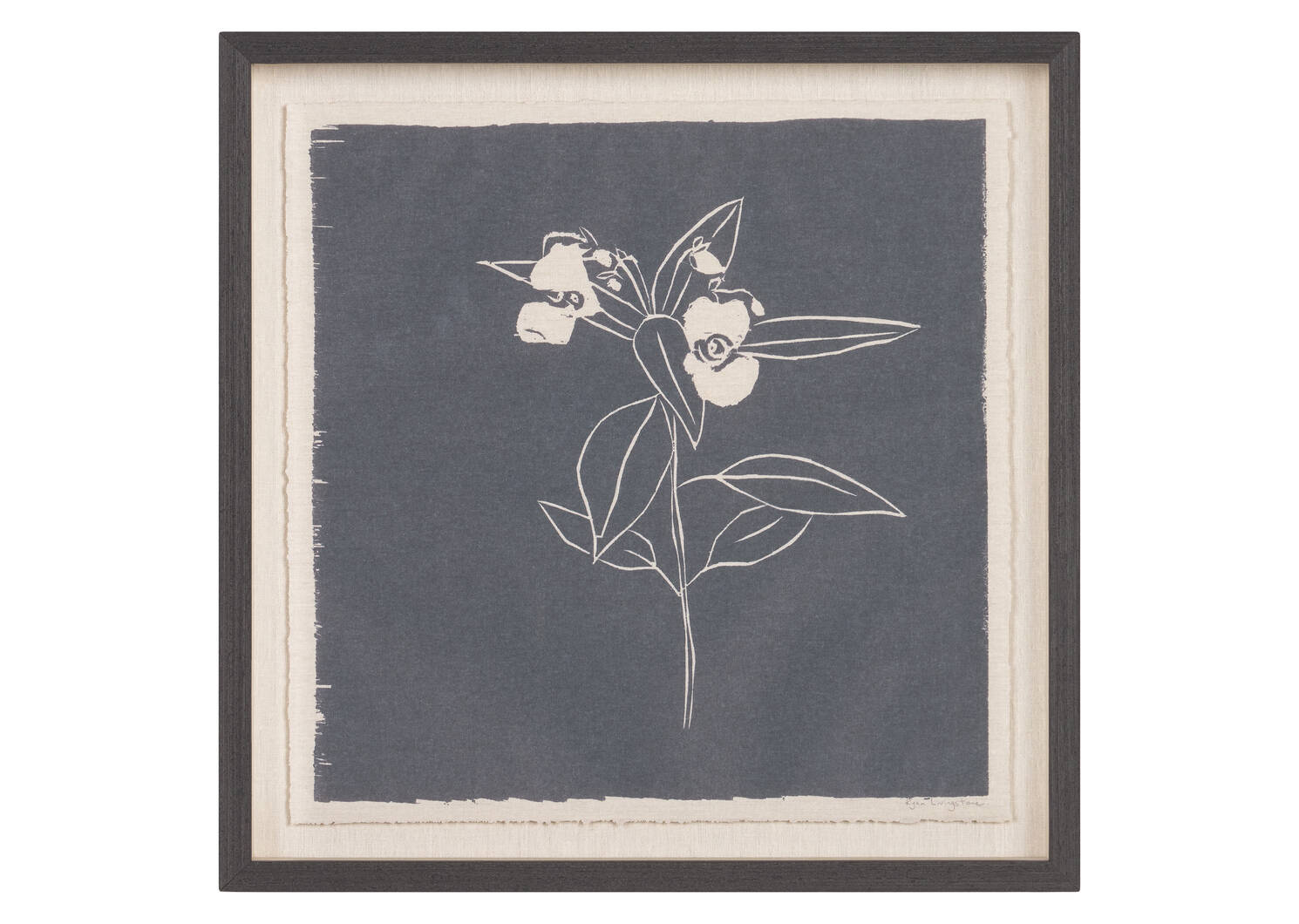 Himalayan Balsam Framed Print