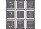 Tableau Japanese Knotweed