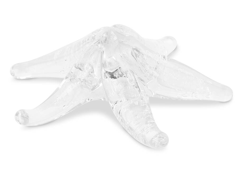 Starfish Decor Clear