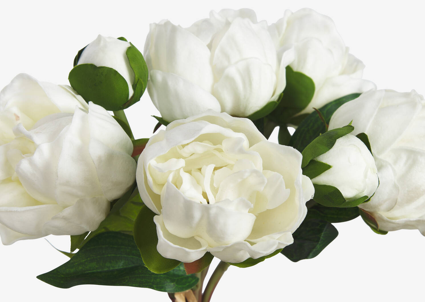 Bouquet de pivoines Liliane blanches