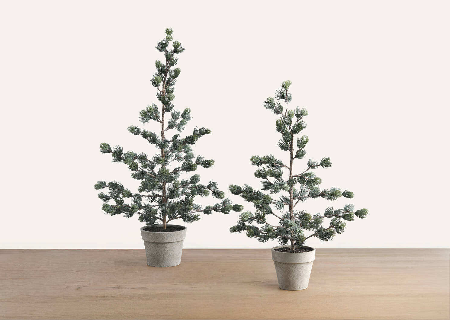 Tremblant Tree Potted Small