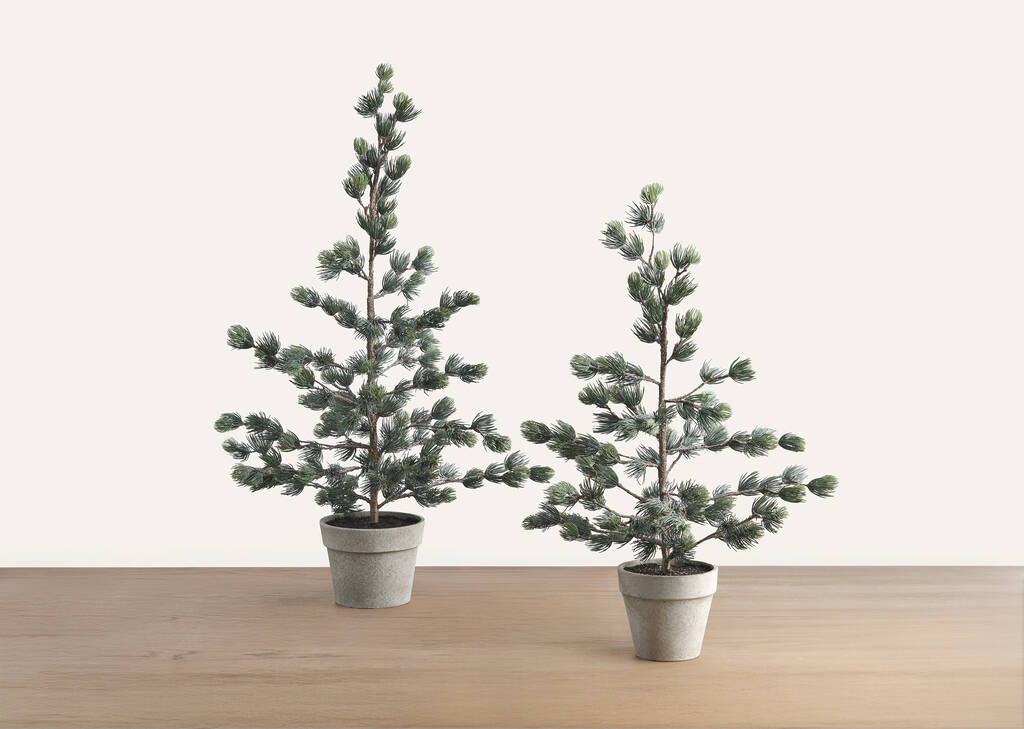 Tremblant Tree Potted Small