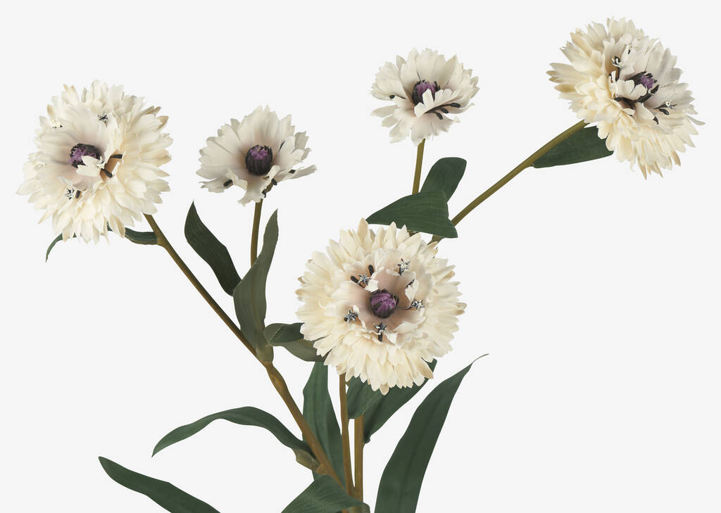 Lindy Cornflower White