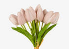 Berdine Tulip Bundle Pink Dust