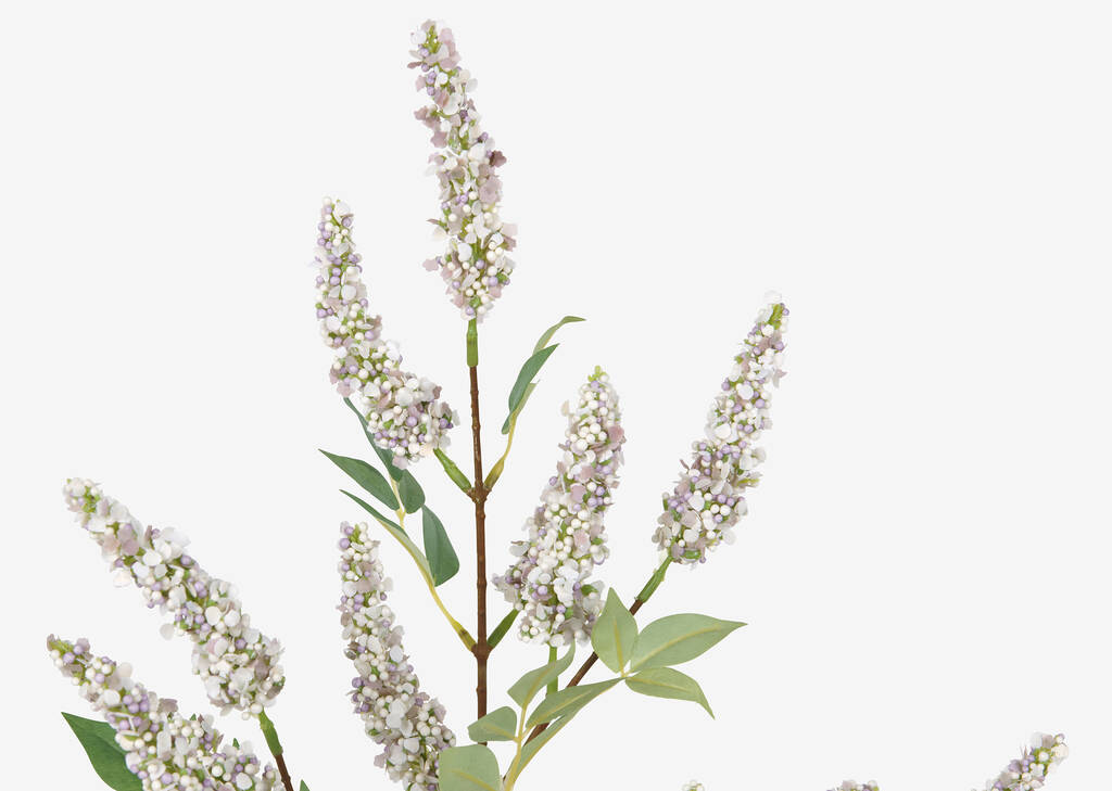 Angie Lilac Stem Purple