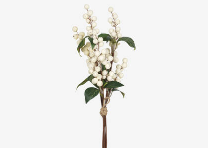Bouquet de baies Hawthorn