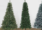 Tannon Tree 7ft Cashmere