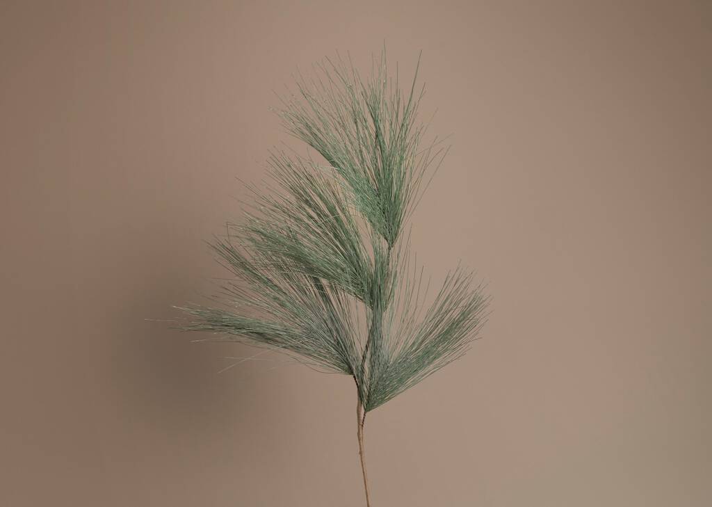 Alaska Long Pine Needle Pick