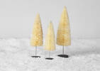 Coy Bristle Trees