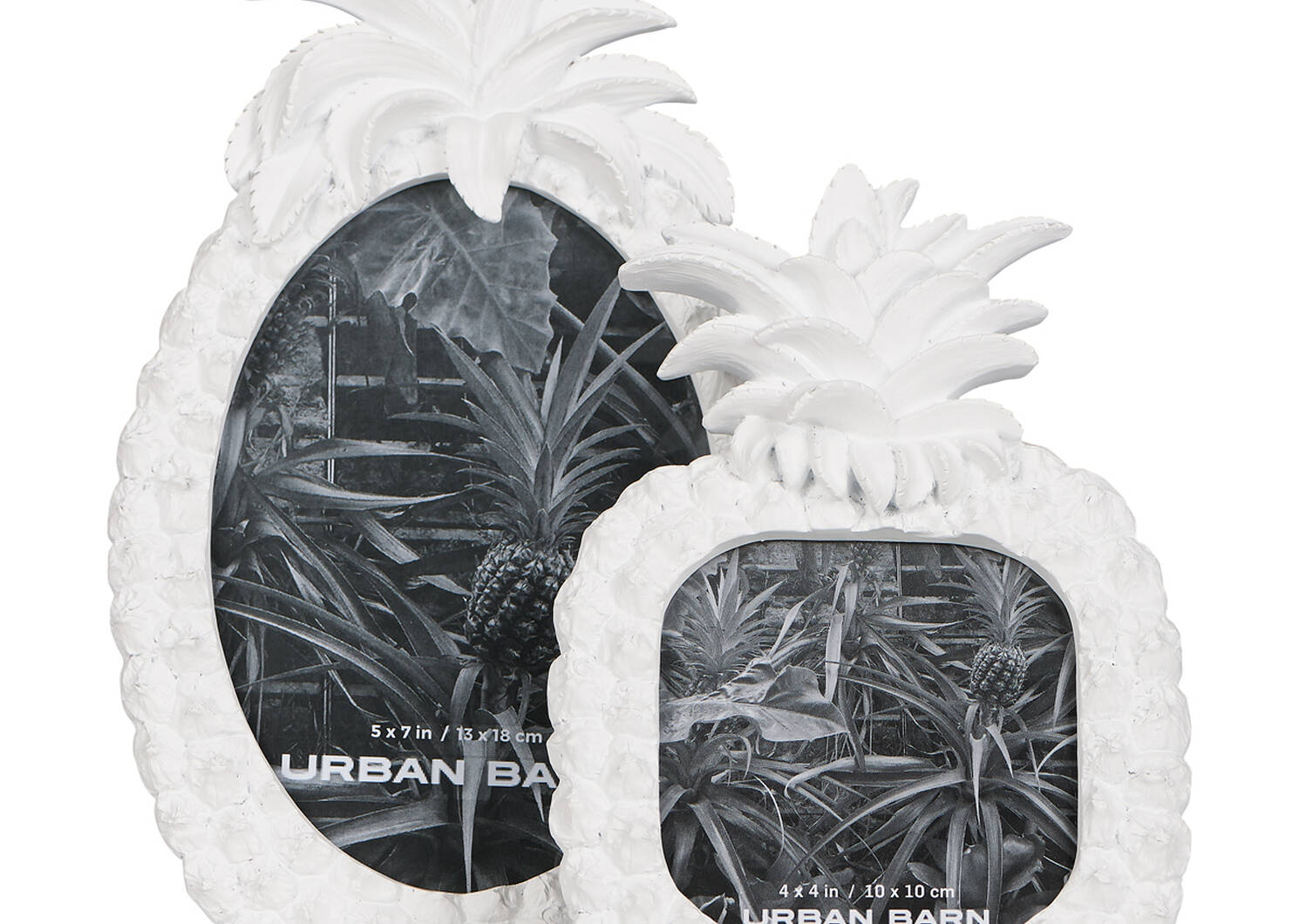 Cadre ananas Lilou 4x4 blanc