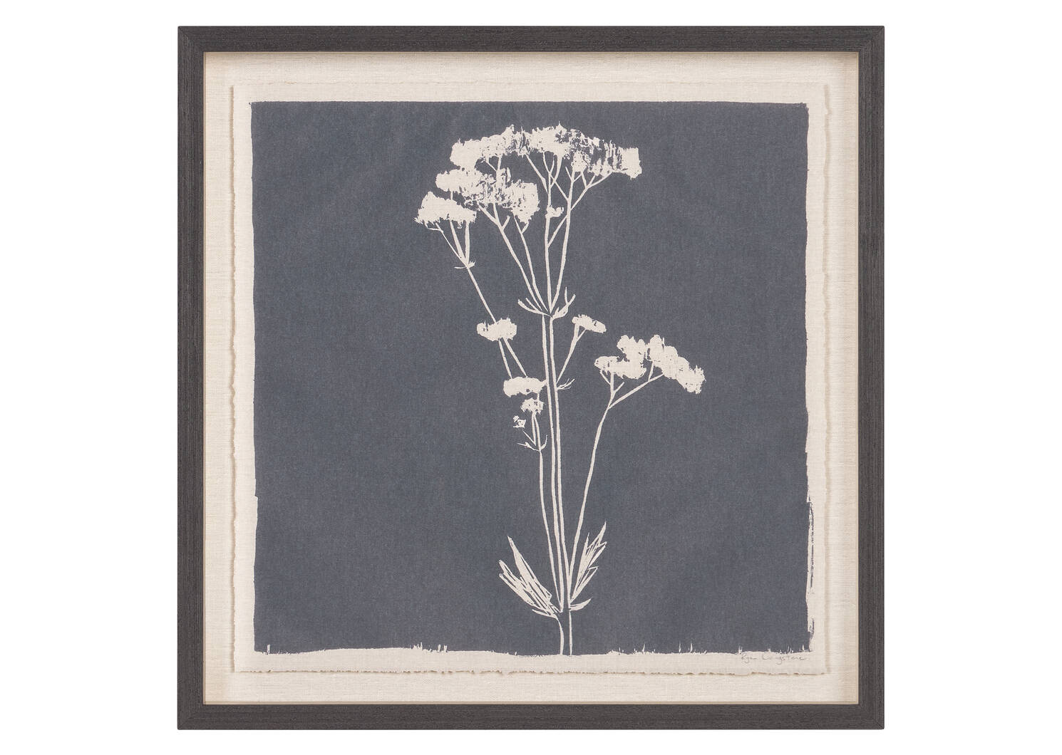 Tableau Common Valerian
