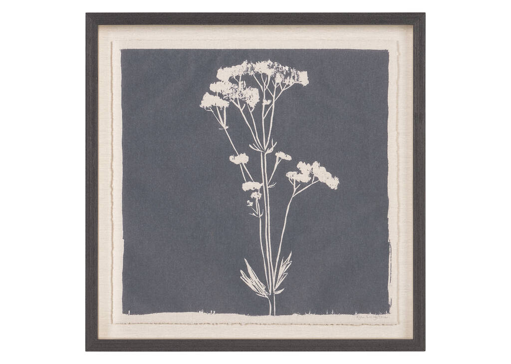 Tableau Common Valerian