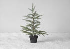 Iclyn Tree Potted Large