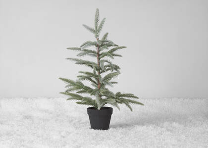 Iclyn Tree Potted Large