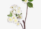 Branche de fleur d'oranger Tabitha