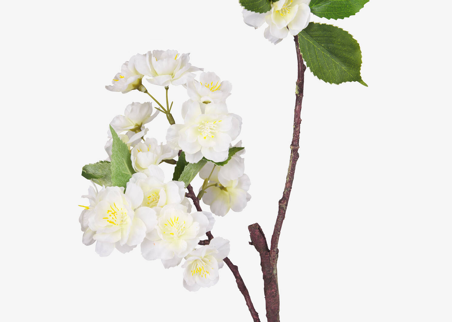 Branche de fleur d'oranger Tabitha