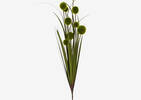 Cline Pom Pom Stem