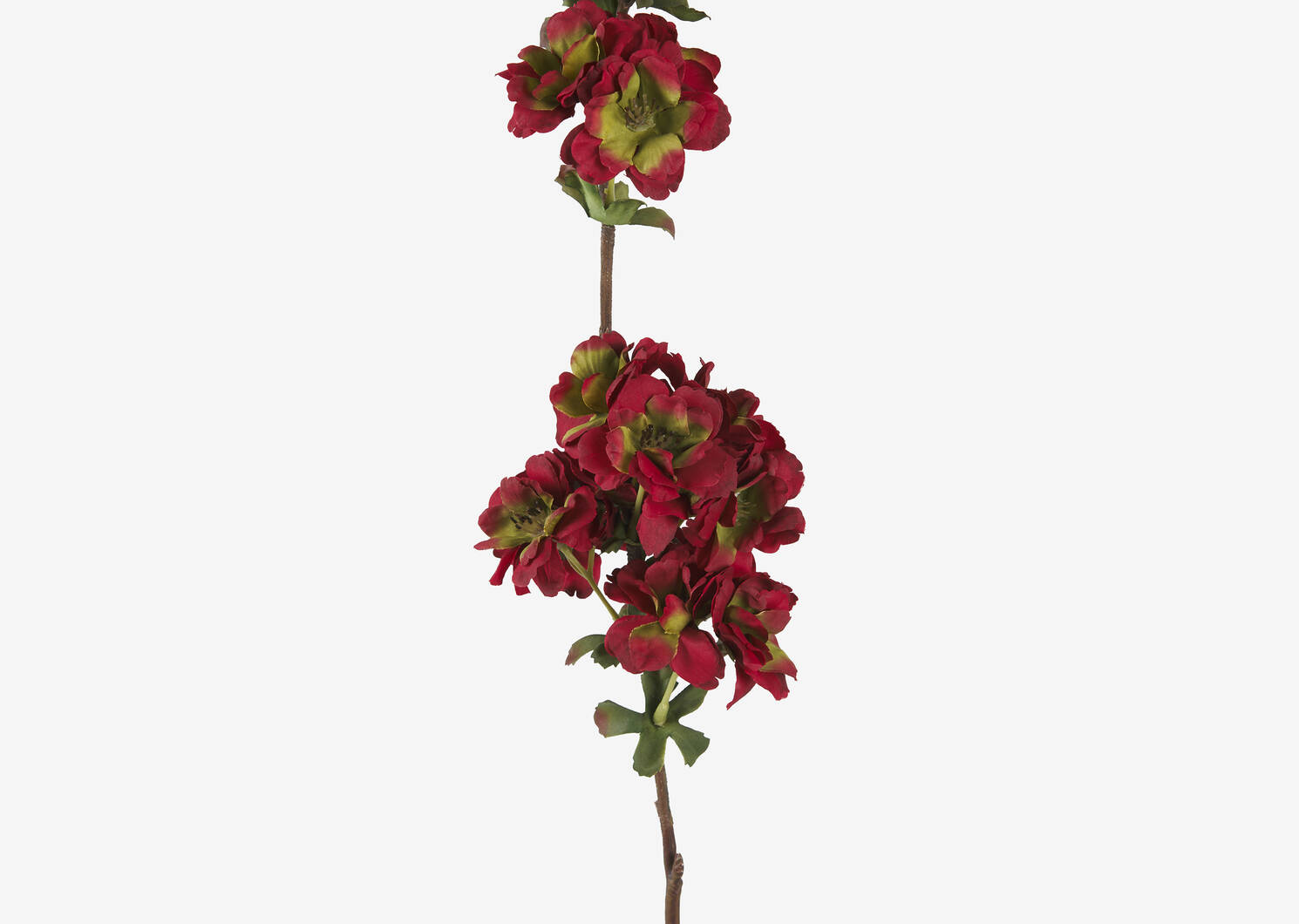 Ricki Autumn Blossom Stem Red