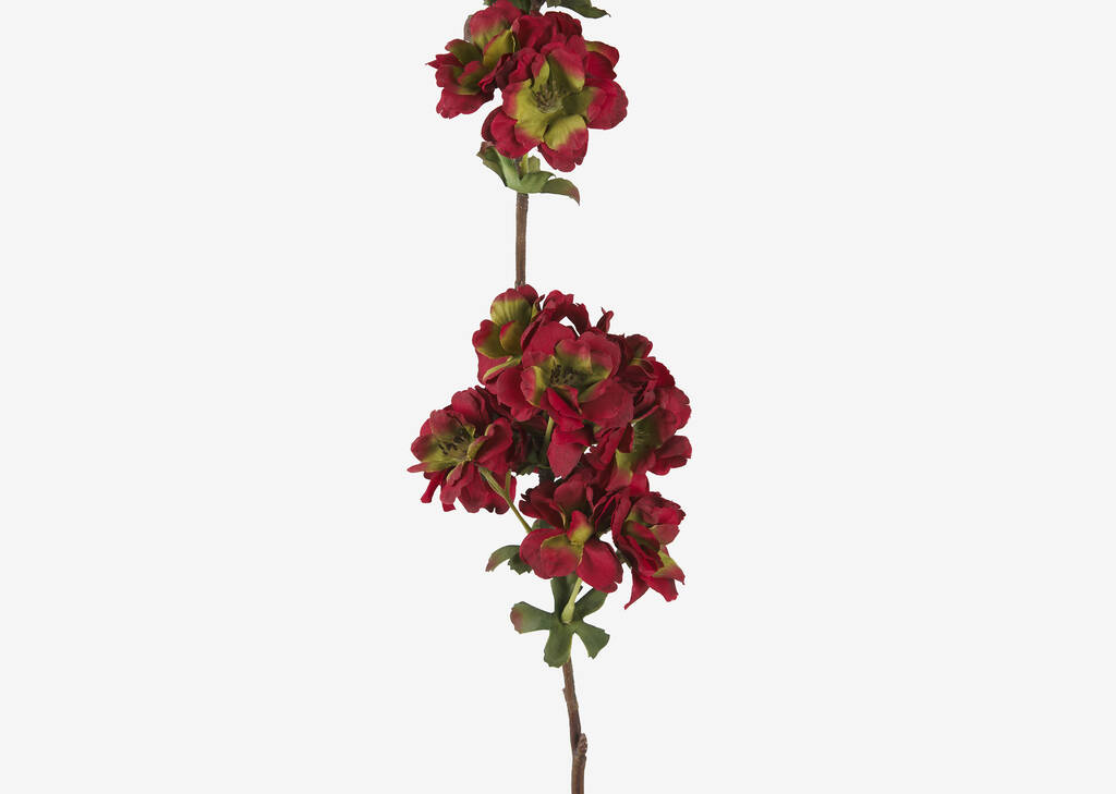 Ricki Autumn Blossom Stem Red