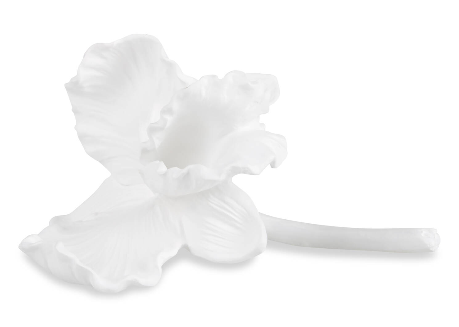 Evanora Orchid Decor Small White