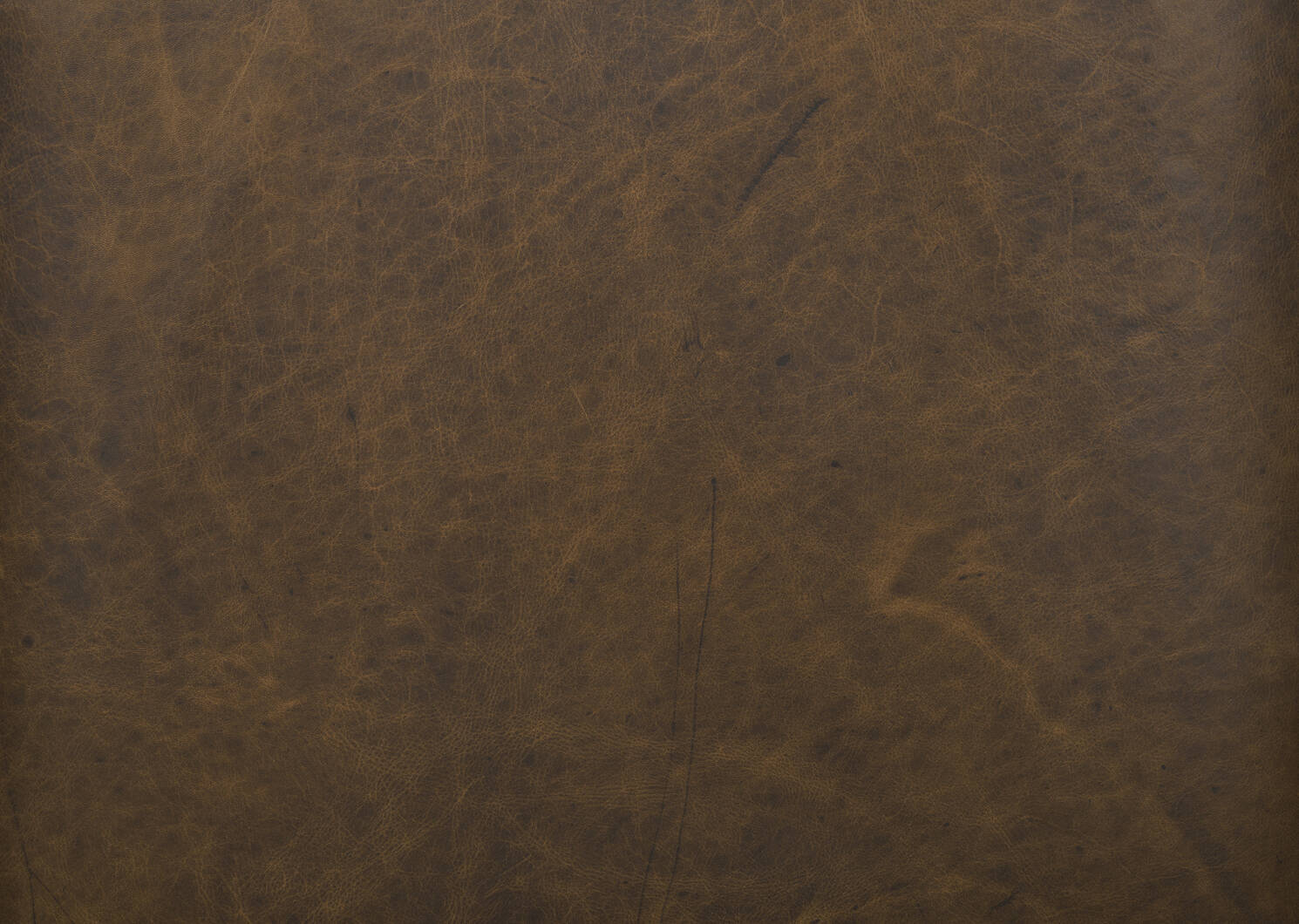 Marcello Leather Sofa -Waco Tobacco