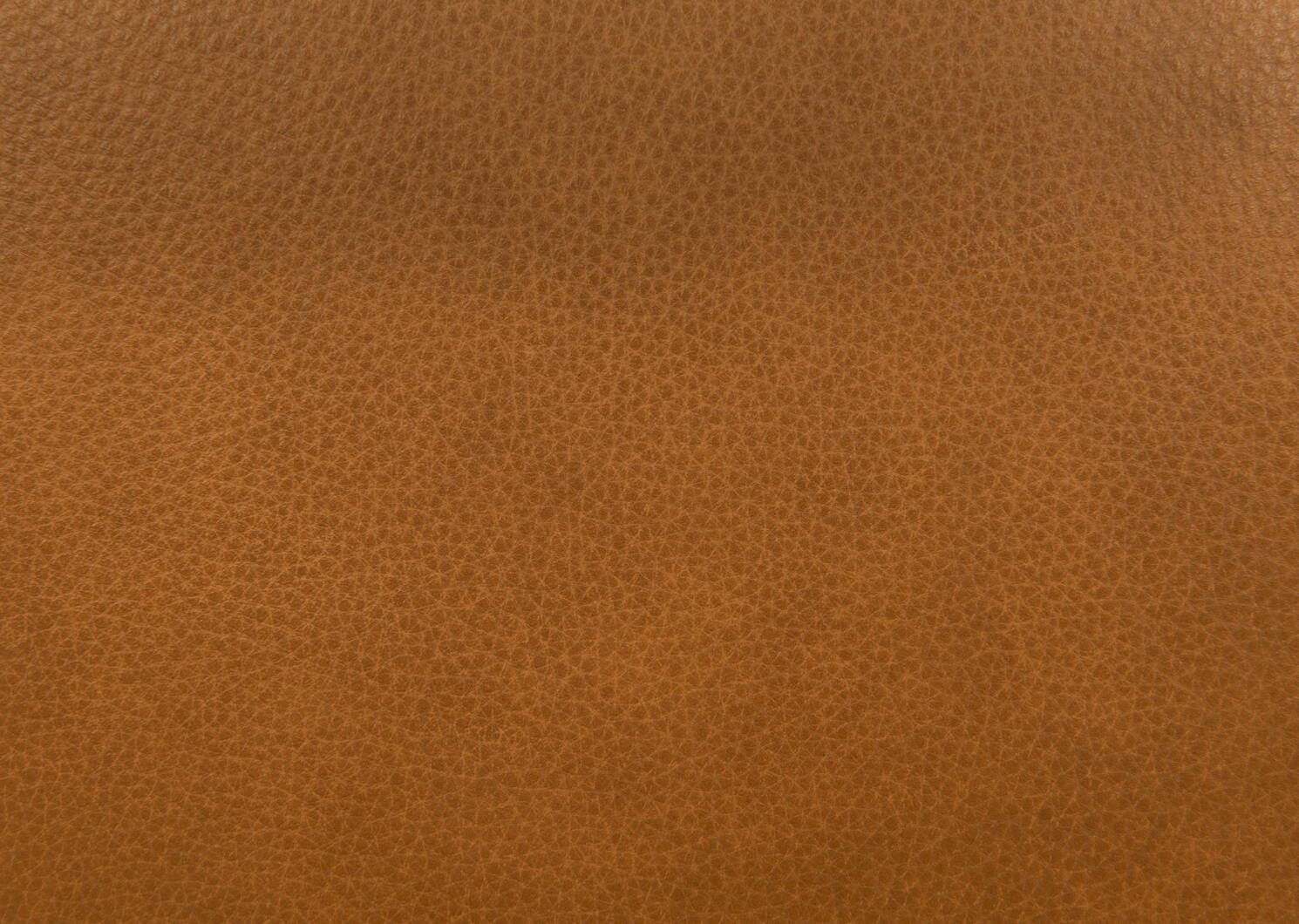 Alton Leather Armchair -Mira Cognac