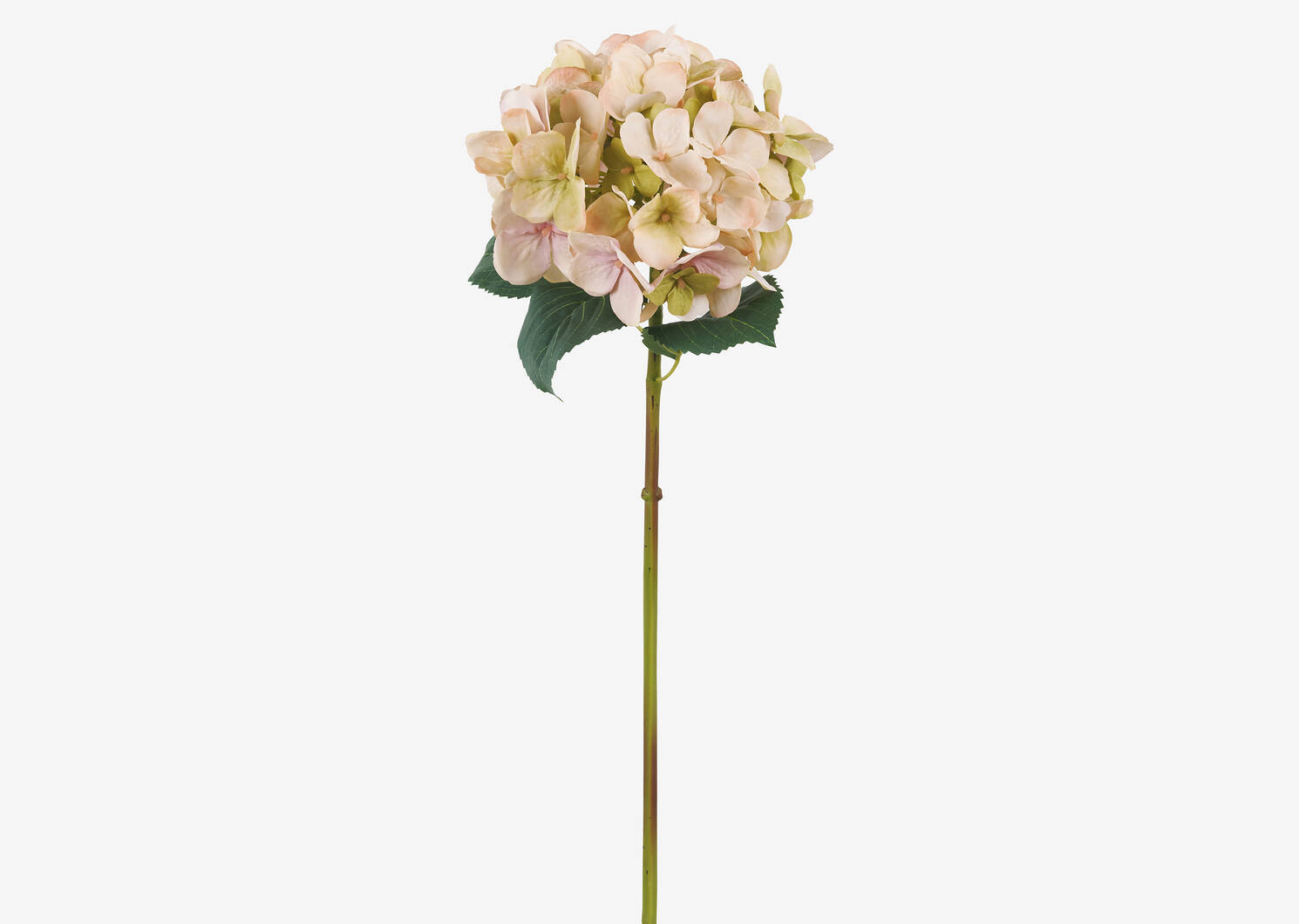Tige d’hydrangée Gretel rose