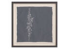 Purple Loosestrife Framed Print