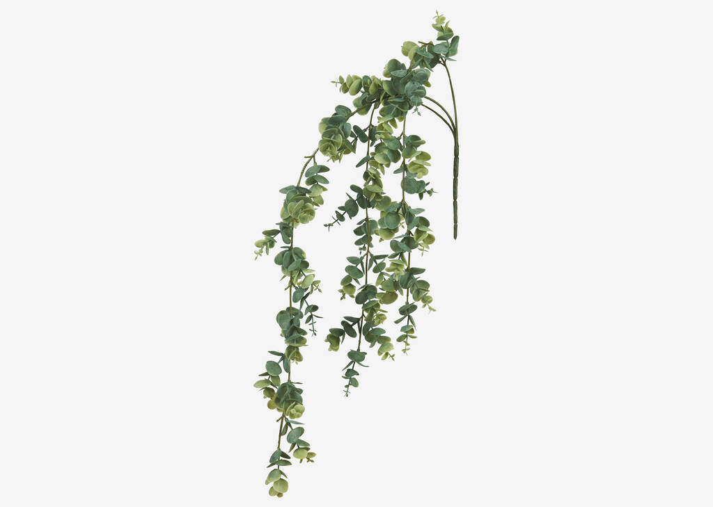 Marla Hanging Eucalyptus