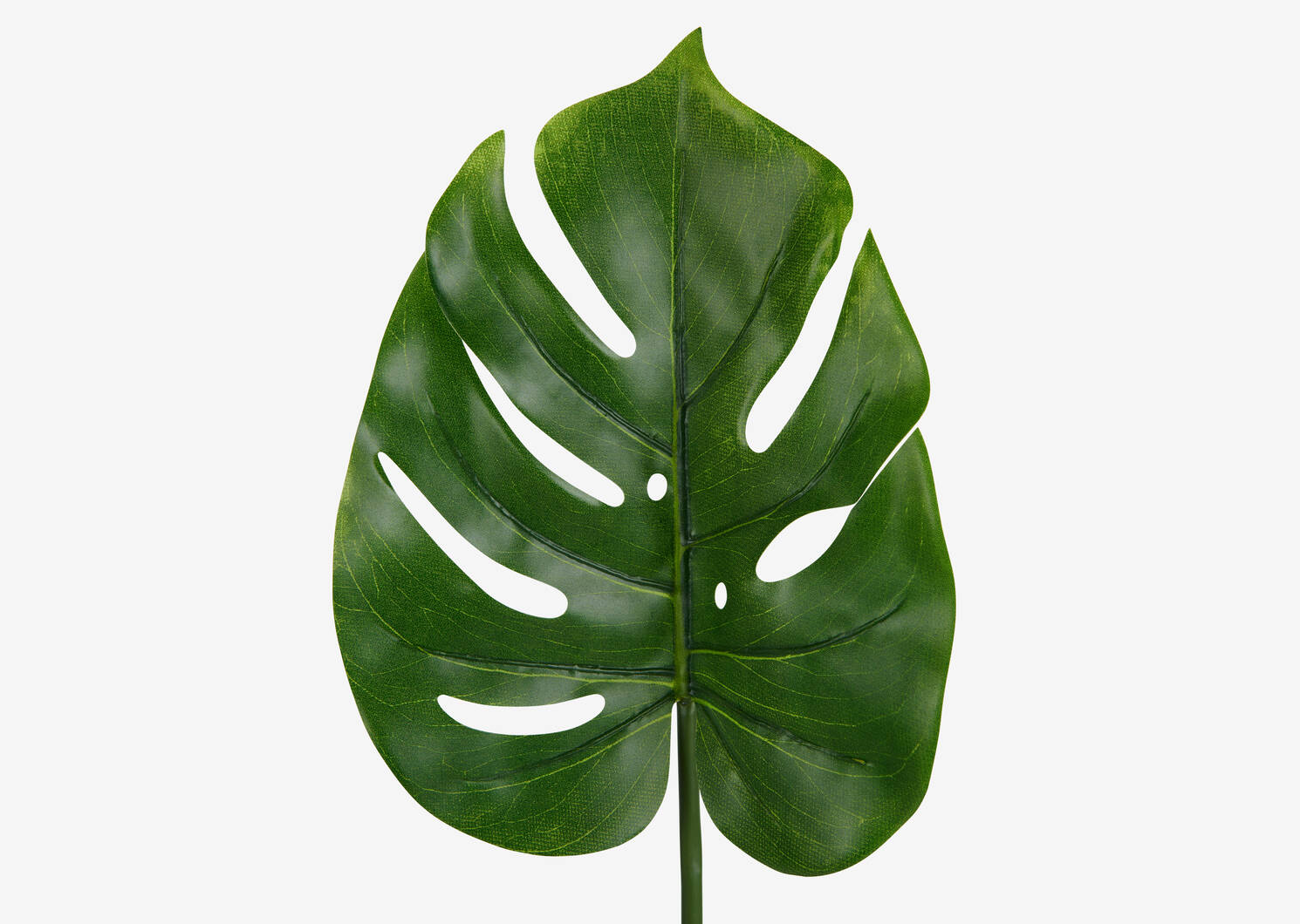 Roca Philo Leaf Stem