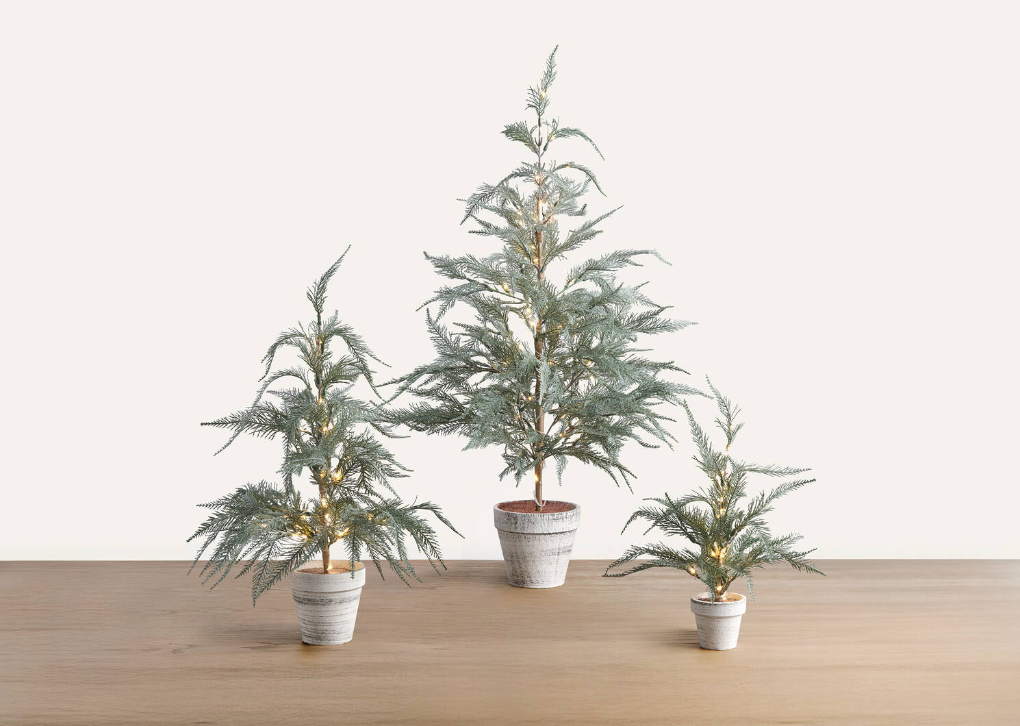 Wonderland Tree Small