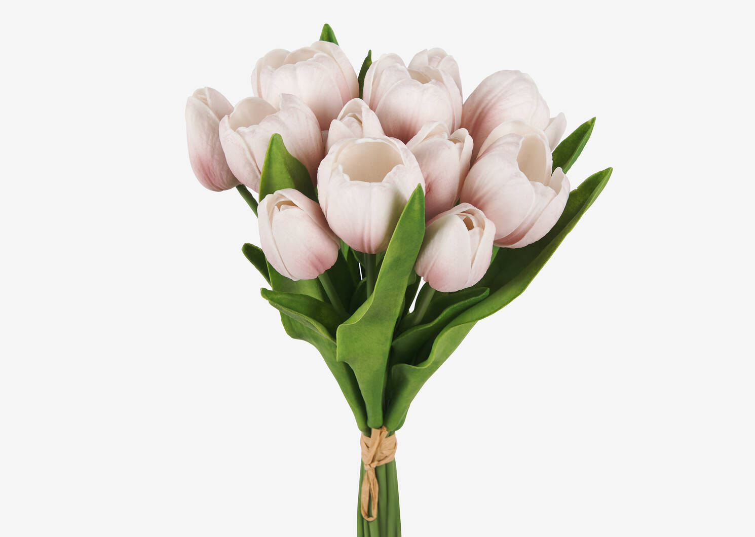 Agnes Tulip Bunch Pink/White