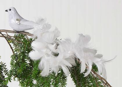 Dinah Long Tail Bird Orn White