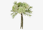 Bouquet de sedums Cami blancs