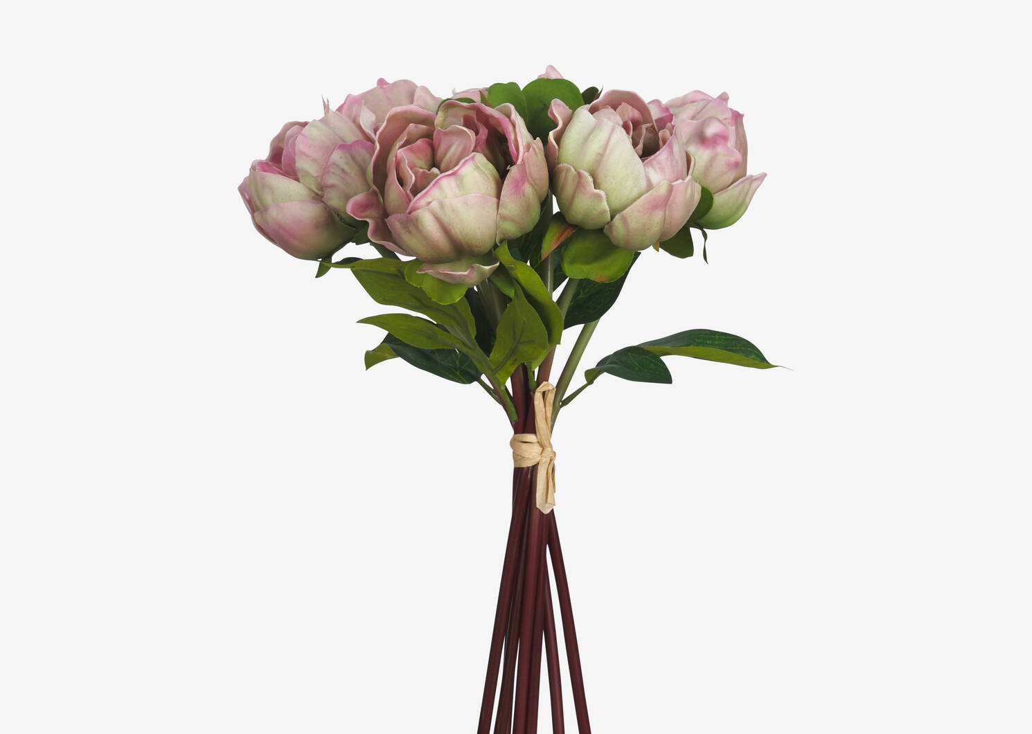 Liliane Peony Bundle Ballet Pink