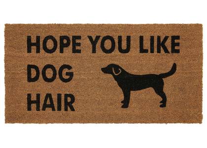 Dog Hair Doormat